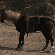 Cheval De Bataille Red Dead Wiki Fandom