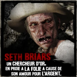 Seth Briars02