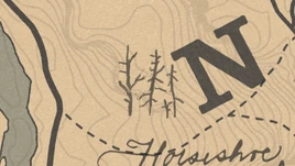 Feu de brousailles02