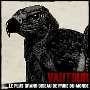 Vautour01