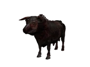 Taureau mort-vivant (307 kio) Taureau mort-vivant