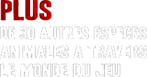 Animaux02.png