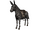 Zebra Donkey