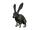 Lapin