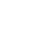 Tomahawk (RDR2)