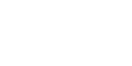 Foxhound américain01