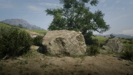 Pierre à souvenirs01