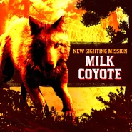 La Naturaliste31.jpg (466 kio) Le Coyote laiteux légendaire