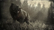 Grizzly09.jpg