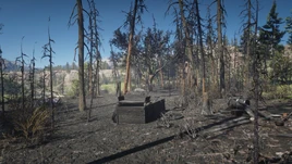 Feu de brousailles01