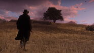 John Marston13