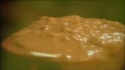 Currymonsterbirth