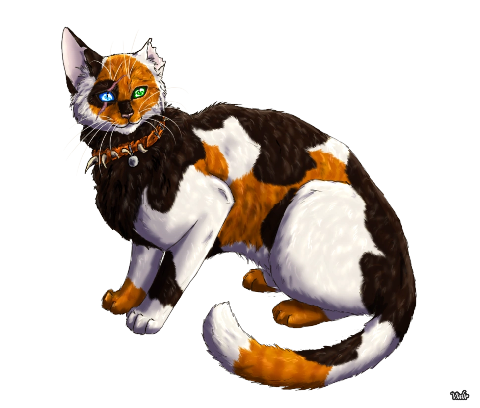 Ярохвост коты воители