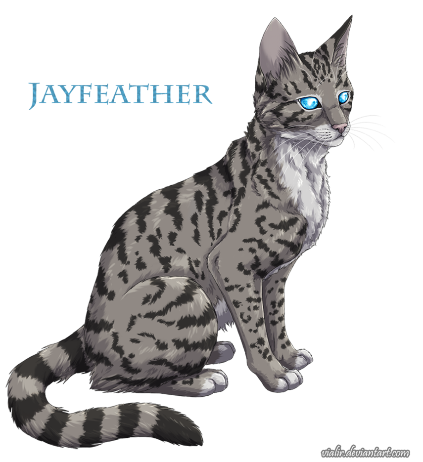 Jayfeather (Warrior Cats)