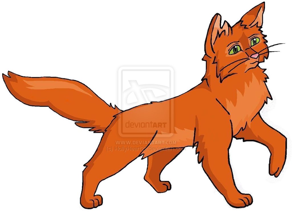 how to draw a warrior cat firestar