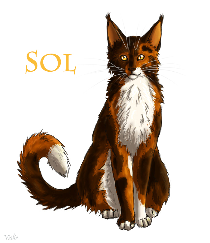 Sol's Breed. (Read my comment.) : r/WarriorCats