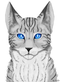 silver tabby she cat with blue eyes