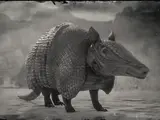 Armadillo (RDR 2)