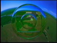 Floresta Amazônica/globo de vidro, 2001-2003