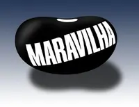 Feijao-maravilha