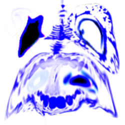 T-323 (The Rotten Chaser) | Redetermined Rooms Wiki | Fandom T-323 (The Rotten Chaser) | Redetermined Rooms Wiki | Fandom