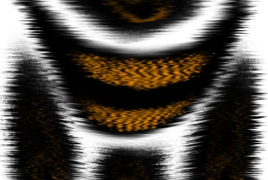 D-ROOM⭐️ ZX-295 | Redetermined Rooms Wiki | Fandom