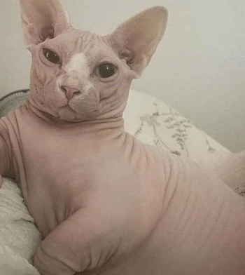 first bingy with wife with cam