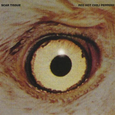 Scar Tissue | Red Hot Chili Peppers Wiki | Fandom