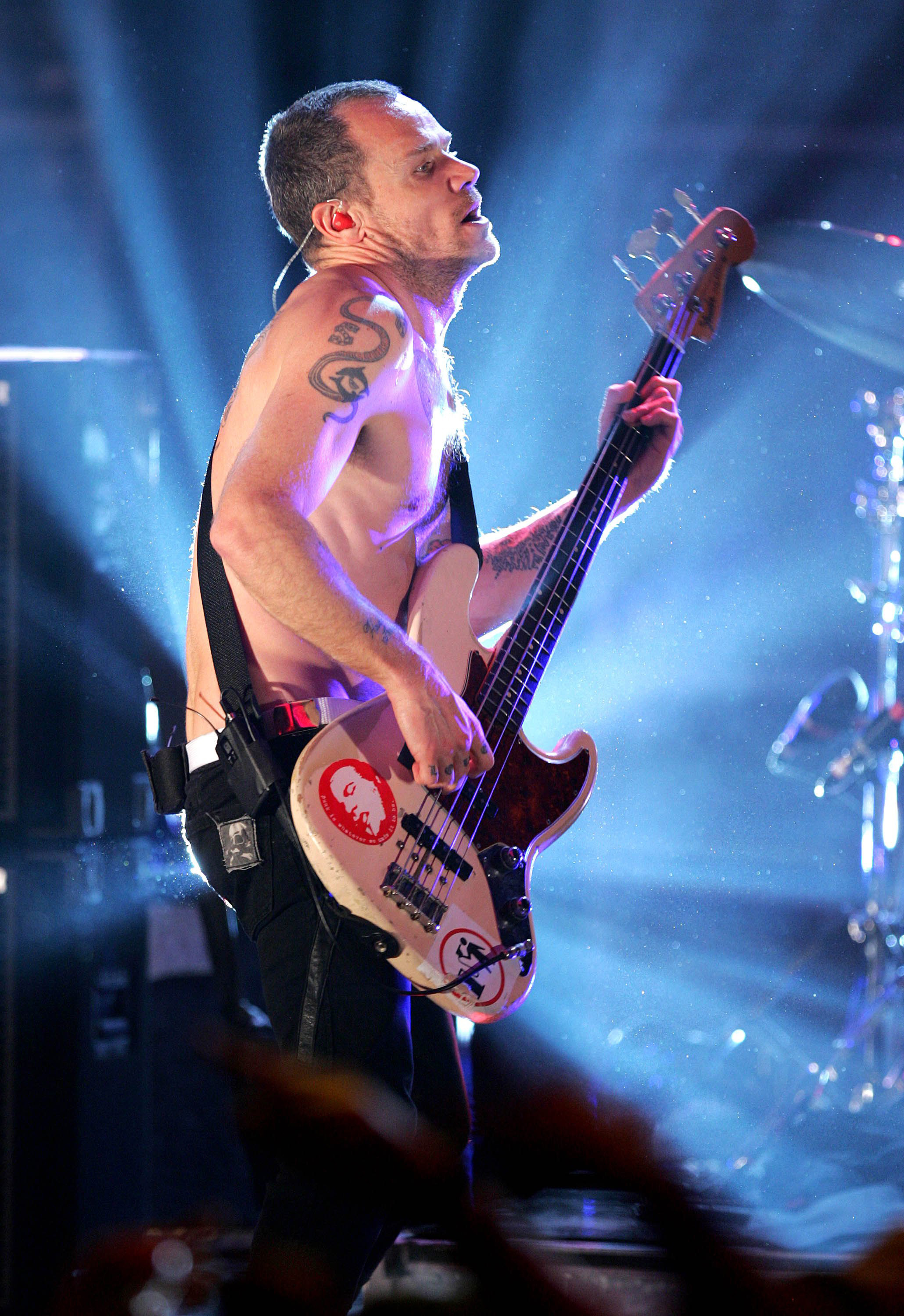 Flea Red Hot Chili Peppers Wiki | Fandom