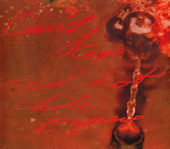 Can't Stop | Red Hot Chili Peppers Wiki | Fandom