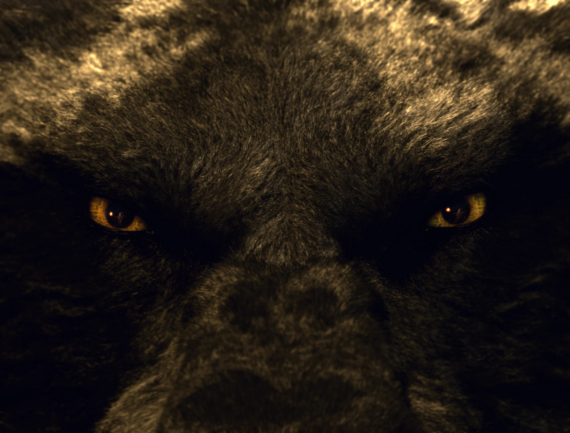 The Wolf Red Riding Hood Wiki Fandom