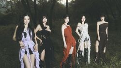 Red velvet wiki store