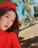 Irene IG Update 031217 2