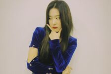 Seulgi IG Update - 010119 (5)