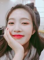 Joy IG Update - 122118 (8)