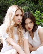 JoyRi 1