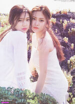 JoyRi 9