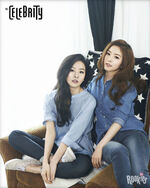 The Celebrity (with Irene) (February 2014)