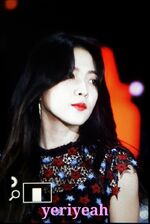 Yeri dream concert 5