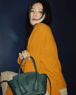 Seulgi IG 200108 3