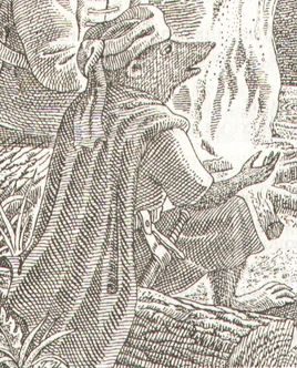 Log-a-Log (Pearls of Lutra)