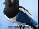 Orville