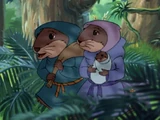 Abram Vole