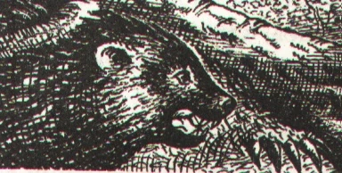 Askor | Redwall Wiki | Brian Jacques and Redwall Information | Fandom