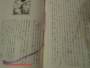 RedwallJapanBookmark.jpg (4.31 MB) Bookmark string