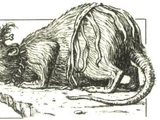Gruntan Kurdly