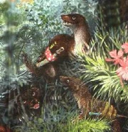 Slavers from Slagar's Gang