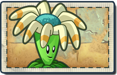 Bloomerang | Plants vs. Zombies: Reflourished Wiki | Fandom