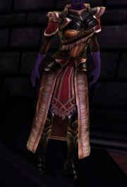Champion Conjurer Tunic Modeled