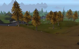 Alsius' Frozen Wind Forest